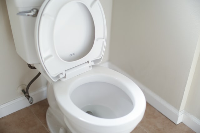 Loose Toilet Handle